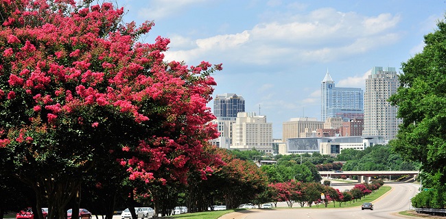 Raleigh Venture Capital & Investors in North Carolina