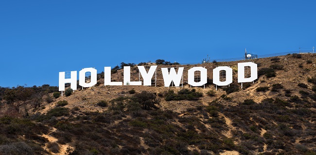 Hollywood Venture Capital Investors